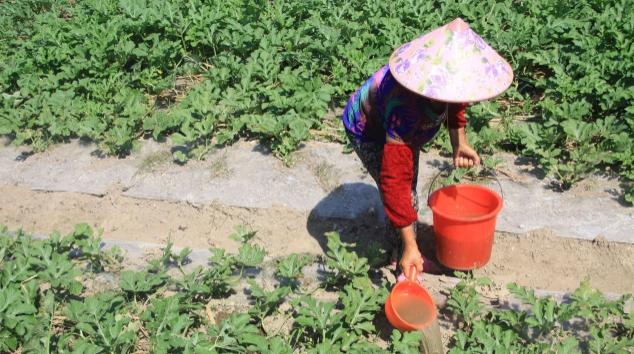 酷暑天怎么戴帽子